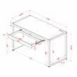 Furniture of America Marra Wood Writing Desk with USB in Sand Black and Natural