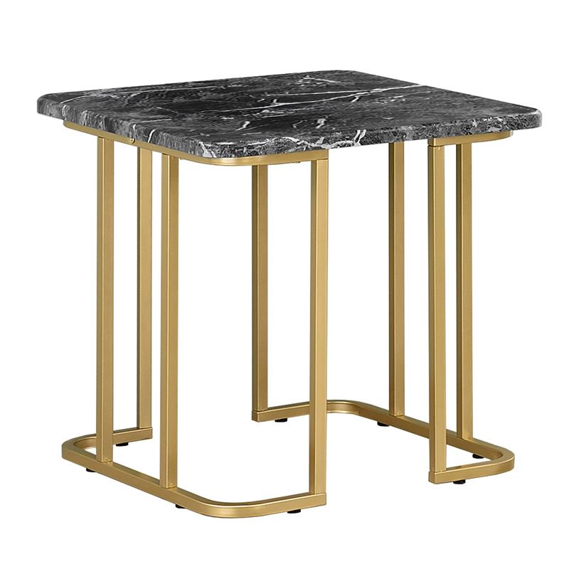 Furniture of America Clotten Metal 2-Piece Coffee Table Set in Gold and Black
