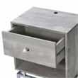 Furniture of America Lyn Wood End Table with USB Port in Light Gray (Set of 2)