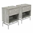 Furniture of America Lyn Wood End Table with USB Port in Light Gray (Set of 2)