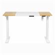 Furniture of America Tilah Modern Metal 2-Piece Desk and Chair Set in White