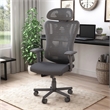 Furniture of America Domie Metal and Mesh Adjustable Office Chair in Black