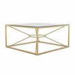 Furniture of America Cevelle Contemporary Glass Top Coffee Table in Gold