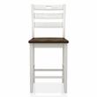 Furniture of America Elda Wood Counter Height Chair in Sea White (Set of 2)