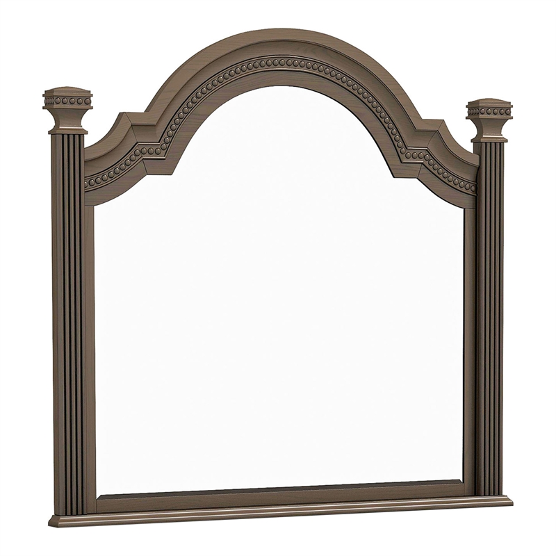Furniture of America Charo Traditional Wood Framed Mirror in Gray