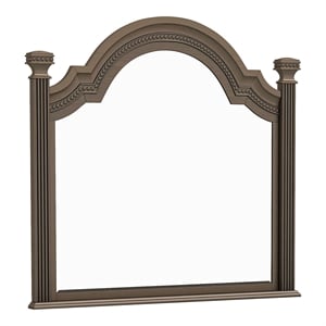 Furniture of America Charo Traditional Wood Framed Mirror in Gray