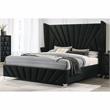 Furniture of America Sakan Transitional Fabric Upholstered Queen Bed in Black