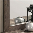 Furniture of America Gafin Transitional Solid Wood Framed Mirror in Gray