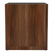 Furniture of America Trice Contemporary Wood 1-Shelf End Table in Walnut