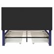 Furniture of America Tink Platform Fabric Queen Bed with Drawers in Navy