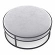 Furniture of America Olive Gray Velvet Fabric 39