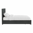 Furniture of America Bethn Transitional Fabric Storage Twin Bed in Dark Gray