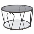 Furniture of America Miffa Contemporary Metal 1-Shelf Coffee Table in Black