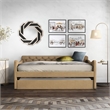 Furniture of America Knolt Fabric Twin Daybed with Trundle in Brown