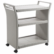 Furniture of America Azur Aluminum 2-Piece Bar Cart and Trash Can in Gray