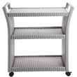 Furniture of America Azur Aluminum 2-Piece Bar Cart and Trash Can in Gray