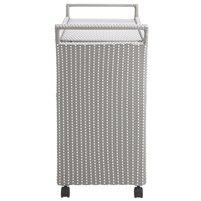 Furniture of America Azur Aluminum 2-Piece Bar Cart and Trash Can in Gray