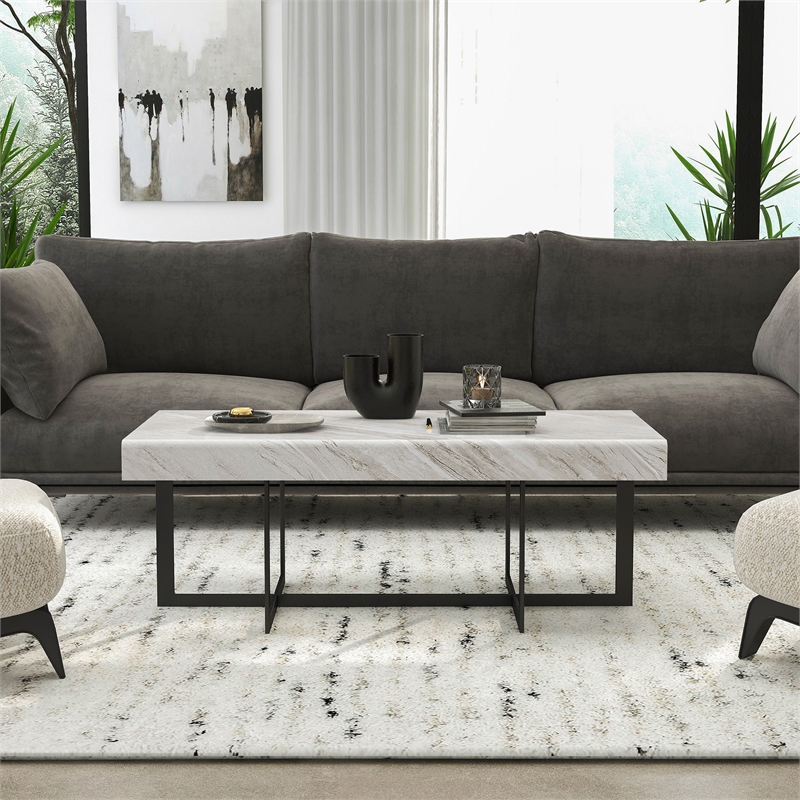 Furniture of America Vasket Contemporary Metal 2-Drawer Coffee Table in Gray