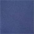 Furniture of America Glanz Fabric Wing-Back Side Chair in Blue (Set of 2)