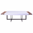Furniture of America Vasket Contemporary Metal 2-Drawer Coffee Table in White