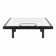 Furniture of America Virya Metal Black 2 Motor Twin XL Adjustable Bed