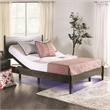 Furniture of America Virya Metal Black 3 Motor King Adjustable Bed