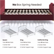Furniture of America Glanz Glam Fabric Tufted King Bed in Red