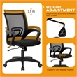 Furniture of America Ergo Swivel Stainless Steel & Mesh Office Chair in Black