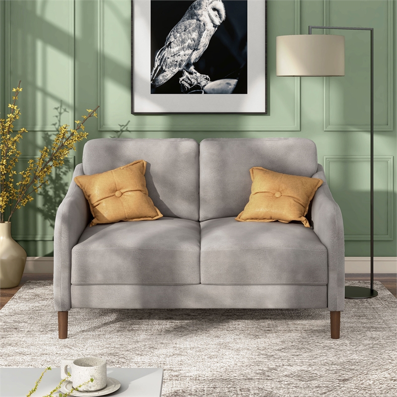 Furniture of America Theo Modern Velvet Fabric Loveseat Sofa in Gray
