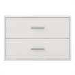 Furniture of America Seni Stackable Wood 2-Drawer Bookcase in White