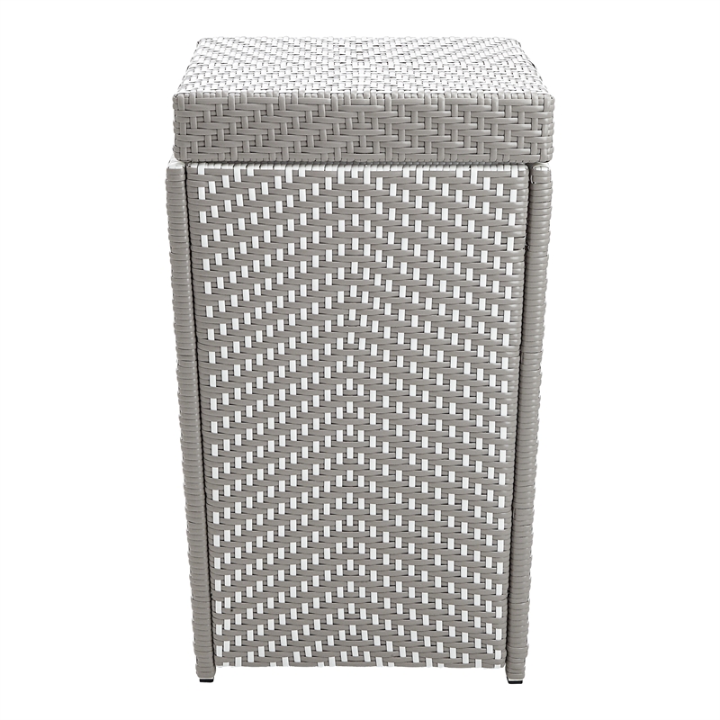 Furniture of America Azur Rattan 2-Piece Loveseat and Trash Can Set in Gray