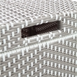 Furniture of America Azur Rattan 2-Piece Loveseat and Trash Can Set in Gray