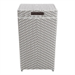 Furniture of America Azur Rattan 2-Piece Loveseat and Trash Can Set in Gray