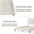 Furniture of America Lila Boucle Fabric Mattress Ready Queen Bed in White