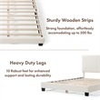 Furniture of America Lila Boucle Fabric Mattress Ready Queen Bed in White
