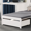 Furniture of America Yalle Solid Wood Twin Loft Bed with USBs in White