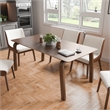 Furniture of America Senoil Wood Rectangular Dining Table in Walnut