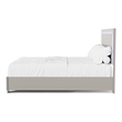 Furniture of America Ventrack LED Light Wood Queen Bed in Light Taupe