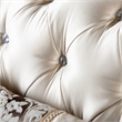 Furniture of America Watley Fabric Tufted and Nailhead Arm Chair in Beige