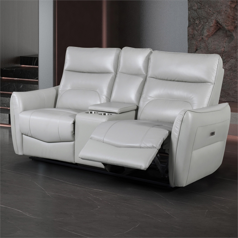 Furniture of America Dansworth Leather Storage Power Loveseat in Taupe