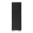 Furniture of America Loomier 5-Drawer Solid Wood Chest in Black
