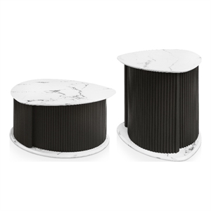 Furniture of America Elara Iron 2-Piece Coffee and End Table Set in Black
