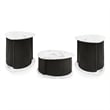 Furniture of America Elara Iron 3-Piece Coffee Table and End Table Set in Black