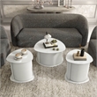 Furniture of America Elara Wood 3-Piece Coffee Table and End Table Set in White