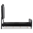 Furniture of America Seabliss Wood King 3-Piece Bedroom Set in Black