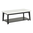 Furniture of America Isolde Wood and Marble Rectangle Coffee Table in White