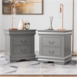 Furniture of America Toni Wood 2-Drawer Nightstand in Gray (Set of 2)
