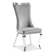 Furniture of America Balast Velvet Upholstered Side Chairs in Gray (Set of 2)