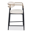 Furniture of America Kinsey Wood Counter Dining Chairs in Black (Set of 2)