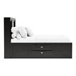 Furniture of America Darius Solid Wood Multi-Storage Queen Bed in Black